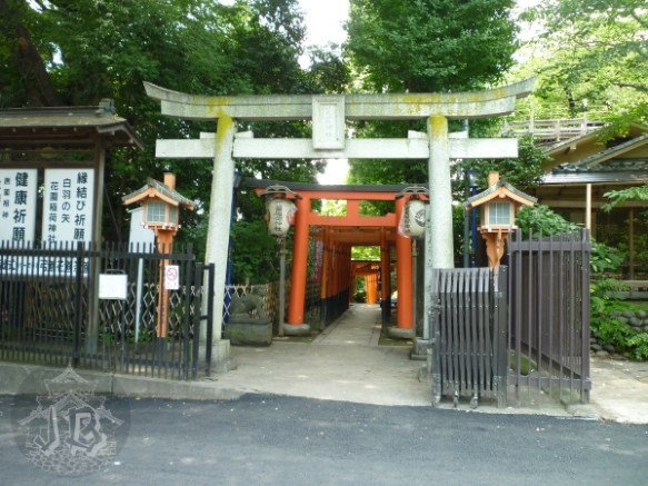 The entrance of a shrine, with a row of torii heading down some stairs