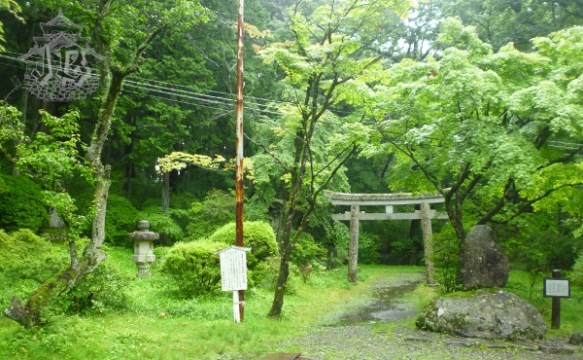 A forlorne stone torii forgotten in the middle of the forest
