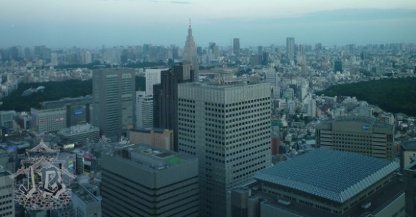 Tokyo cityscape. There are thousands of buildings.