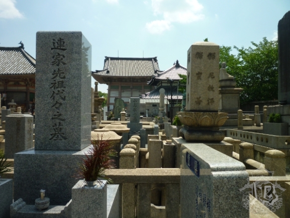 A number of polished rock blocks with kanji on them - they are tombstones, and they're arranged in haphazzardly almost one on top of the other