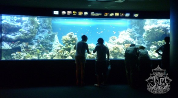 A glass wall that opens up to a tropical aquarium
