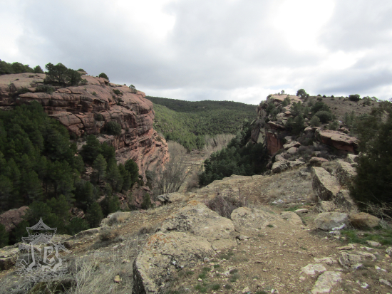 Sandstone cliffs + pine trees