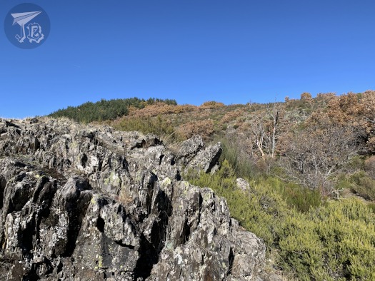 A rock formation, with vertical cracks, and bushes in the background