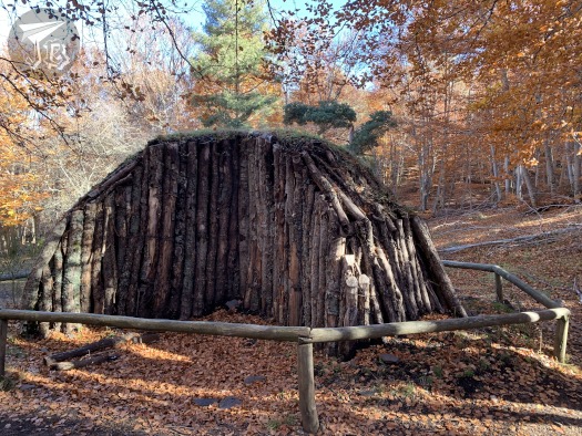 A hut made out of thin trunks. The autumn leaves have accumulted against