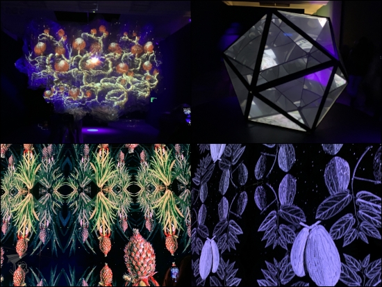 Collage. Light effects repeating the same patterns: a pineapple, a thisle, a khaki