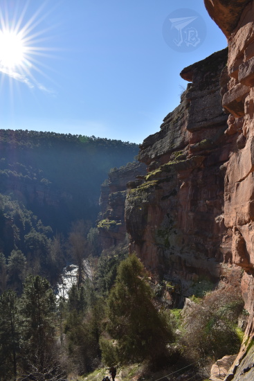 Halfway up a reddish sandstone wall. The picture faces the rising sun, and at the bottom of the ravine is the river, with the evergreen trees around.
