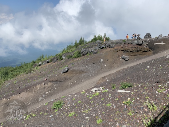 The path down, bulldozered into a straight line.