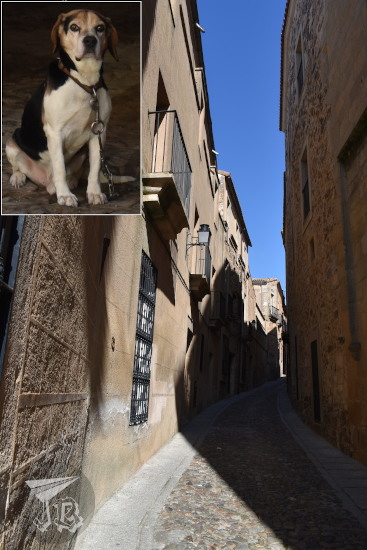 Narrow streets, and a guarding dog looking suspicious