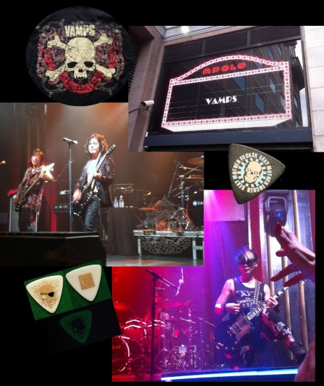 Collage showing the band, the stage, and the picks I got from them