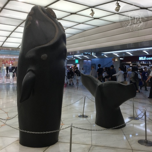 Sculpture of a grey whale breaching the floor