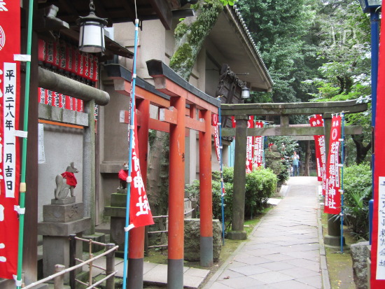 A row of torii gates