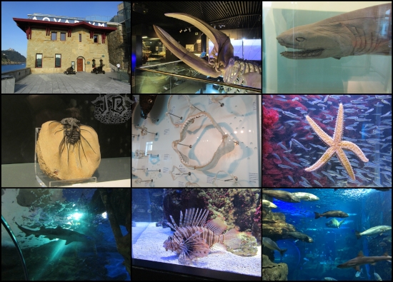 A small building entrance which yields to the aquarium. Collage showing different exhibits inside: a whale skeleton, a seven-grilled shark in alcohol, a trilobites fossil, a shark jaw, a starfish, a shark swimming above through an aquarium tunnel, a lionfish, sarks swimming in the aquarium