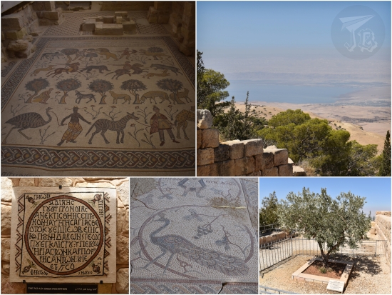 A collage: Mount Nebo mosaic showing men and animals, and Greek Writing. A panorama of the Dead Sea. The olive tree planted by the Pope