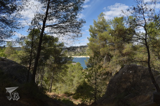 Pine trees with a bit of water in the background - the reservoir