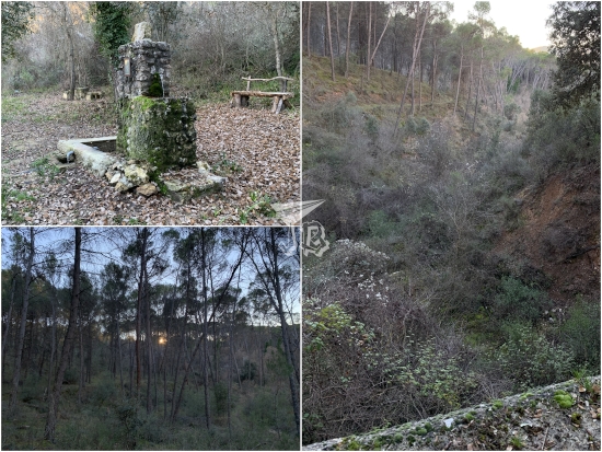 Collage - a mossy fountain on a leaf-covered ground; a pine forest in dull winter colours; an excavated gorge from the container dam, the gorge is overgrown with green-grey plants