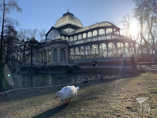 Palacio de cristal. A huge greenhouse with a dome, and two wings. A white duck wanders in the foreground. Between the greenhouse and the duck there's a small pond.