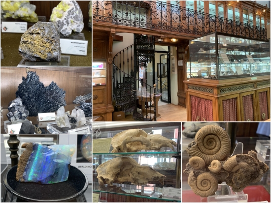 The historical mining museum at ETSIME Madrid. It is a large ward with cedar wood shelves from floor to ceiling, filled with rocks and fossils. The picture also shows some close-ups of rocks, two cave bear skulls, and a cluster of fossilised snail-like animals
