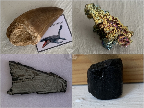 Collage: a fossilised tooth, a bit of mineral in metallic colours, a slice of meteorite with silver orthogonal markings, and a bit of shiny black rock