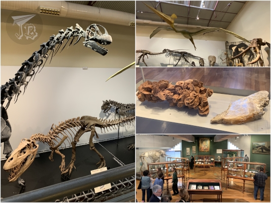 Collage. Dinosaur fossil casts and reconstructions, both carnivores and long-neck herbivores. A flying reptile with some mammooth fossils in the background. Rocks. The old collection dating from the 19th century - a number of glass cases with people looking at them and a painting of king Carlos III overlooking the place.