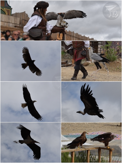 Puy du Fou España falcorny show