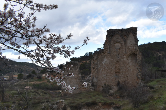 Saint Anne's Monastery with flowers in the foreground