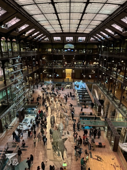 Great Gallery of Evolution