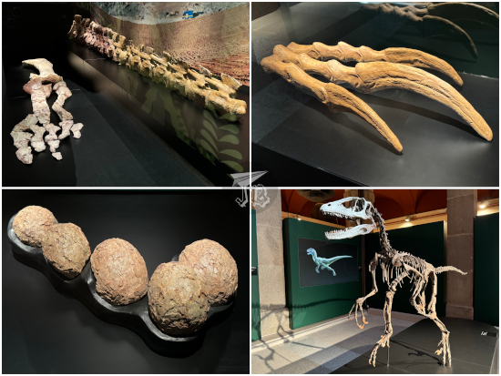Titanosaur, therizinosaurus, eggs, deinonychus