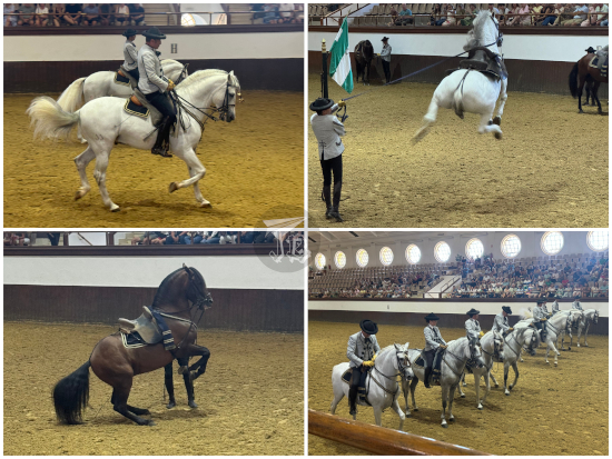 Royal Equestrian Art School, Jerez