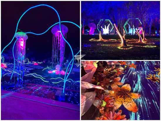 Naturaleza Encendida Life