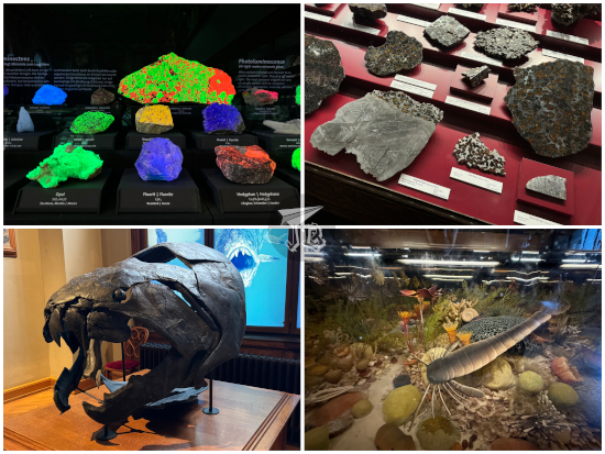 Natural History Museum Vienna