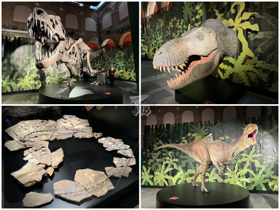 Murderbirds: T-rex and Concavenator