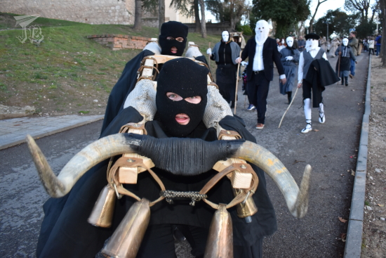 Heifferette from Riba de Saelices