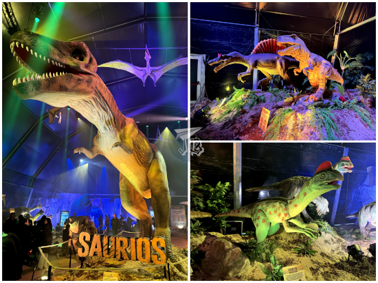 Saurios Madrid - models