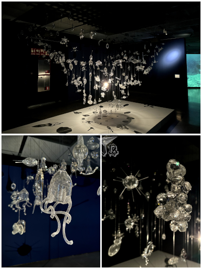 Echoes of the Ocean plankton