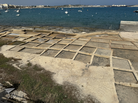 Rows of rectangular salt pans - shallow tidal pools - near the ocean