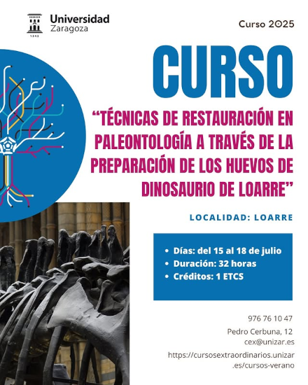 Palaeontological Restoration Techniques through the preparation of Loarre dinosaur eggs