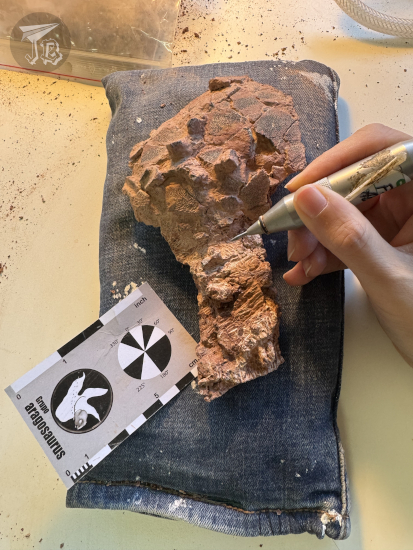 Mechanical cleaning of fossils using an air pen