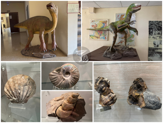 Zaragoza Natural Science Museum: Exhibits in the Geological science building. Replicas of dinosaurs and invertebrate fossils