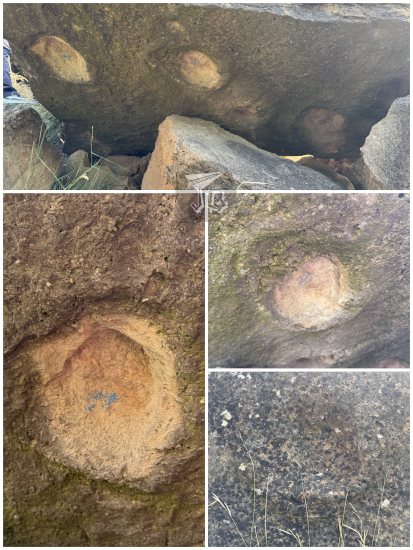 Ancient rhinoceros footsteps