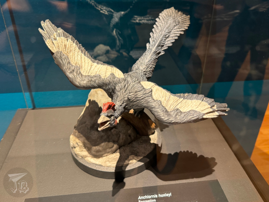 Anchiornis Huxleyi, proof that dinosaurs evolved into birds. Something between a rooster and a lizard