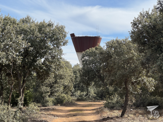 The cow path, still in summer colours.