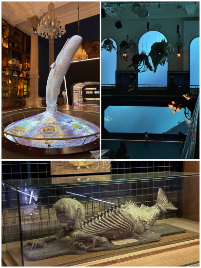 Oceanographic Museum of Monaco exhibits - a sculpture of a breaching sperm whale, cetacean skeletons and a fake mermaid skeleton made from the remains of a monkey and a fish.