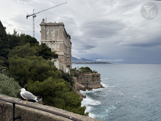 Oceanographic Museum of Monaco standing above the waves, with a seagull in the front of the picture.