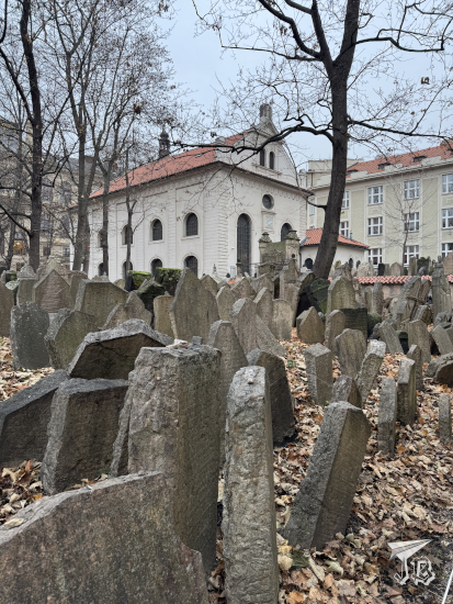 Old Jewish Cemetery, Prague.