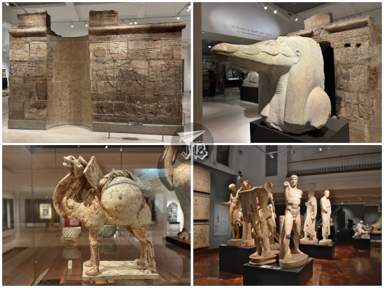 Ashmolean Museum Exhibits - Small Egyptian temple, Sobek the crocodile god, Arabian camel from a tomb, copies of Roman sculptures.