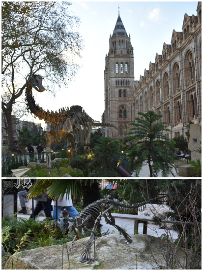 Outside garden if the Natural Science Museum London showing the diplodocus and Hypsilophodon fossil replicas.