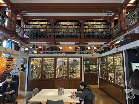 A general view of the Grant Museum of zoology. There are skeletons looking down from the second floor...