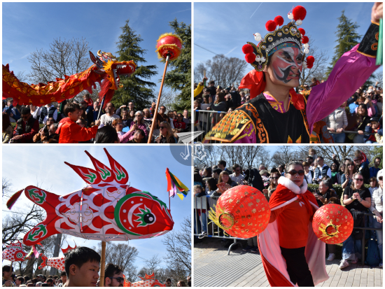 Collage - Chinese new year dancer, dragon, carp and lady carrying red lamps