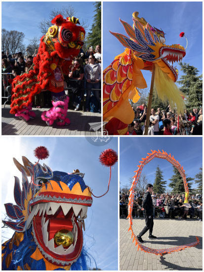 Collage - Chinese new year dragons