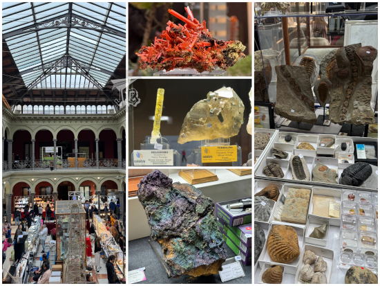 Collage showing expominerales and close-ups of a few displays